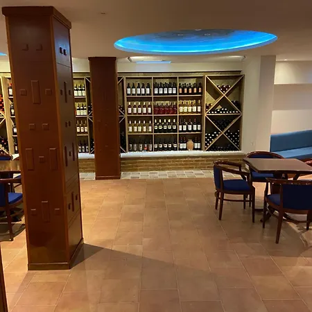 Hotel Cyril